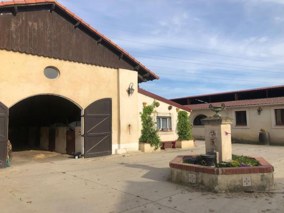 Logement Insolite Au Coeur D'Une Ecurie 阿爾勒 外观 照片